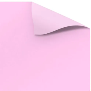 CARTOLINA ESCOLAR ROSA